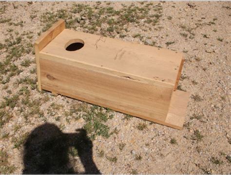 Do It Yourself Wood Duck Nesting Box