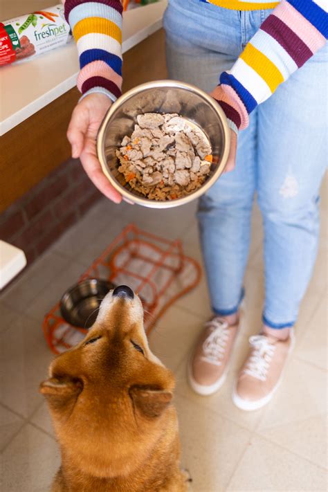 Of secaucus, new jersey, is recalling a single lot of freshpet dog food due to potential contamination with salmonella bacteria. Freshpet Reviews: How I Keep Rigby Healthy with Fresh Dog ...