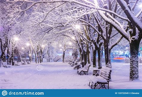 Amazing Winter Night Landscape Of Snow Covered Bench Among Snowy Stock Image Image Of Benchs