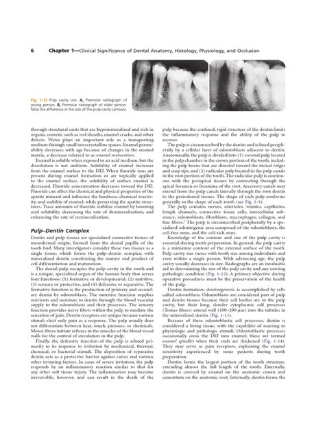 Clinical Significance Of Dental Anatomy Histology And Occlusion Pdf