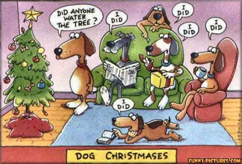A fantastic piece of holiday clip art, the cartoon dog seems ecstatic about the idea that christmas is coming. Funny Image Collection: Funny Quotes - Happy Lucky Dog