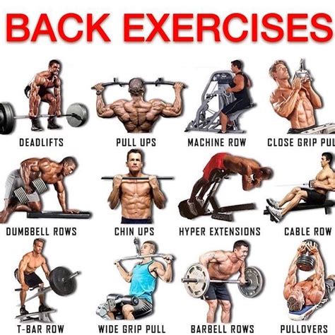 An Image Of A Man Doing Exercises With Dumbbells And Barbells For Back