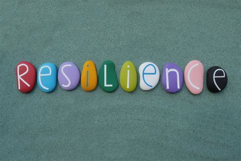 The Three Pillars Of Human Resilience World Of Learning