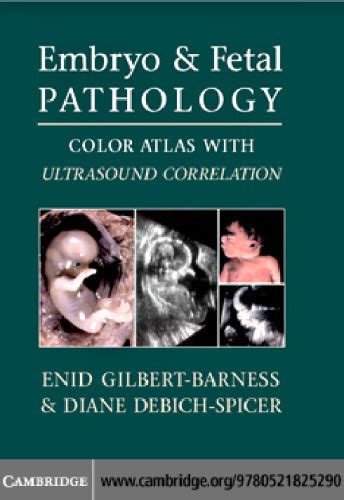 دانلود کتاب Embryo And Fetal Pathology Color Atlas With Ultrasound