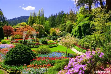 Maybe you would like to learn more about one of these? Butchart Gardens, Victoria, Canada. View of the colorful ...