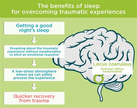 Benefits Of Sleep 11 Health Benefits Of Getting A Good Sleep