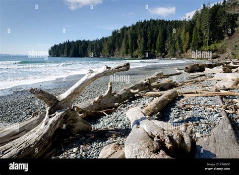 China Beach Juan De Fuca Provincial Park Vancouver Island Bc Canada