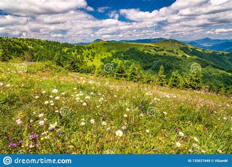 Spring Landscape With Flowery Meadows And The Mountain Peaks Stock