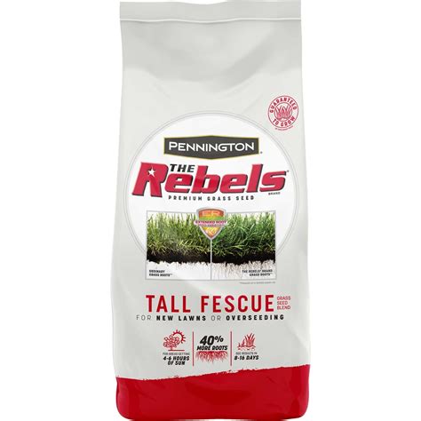 Pennington The Rebels Tall Fescue Blend Premium Grass Seed Pcf 7 Lb