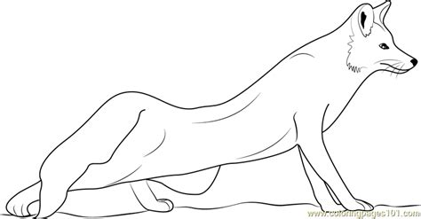 The Red Fox Coloring Page For Kids Free Fox Printable Coloring Pages