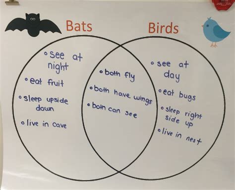 First Grade Love Compare And Contrast