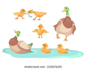 Duck Cute Ducklings Pond Cartoon Illustration Stock Vector Royalty Free Shutterstock