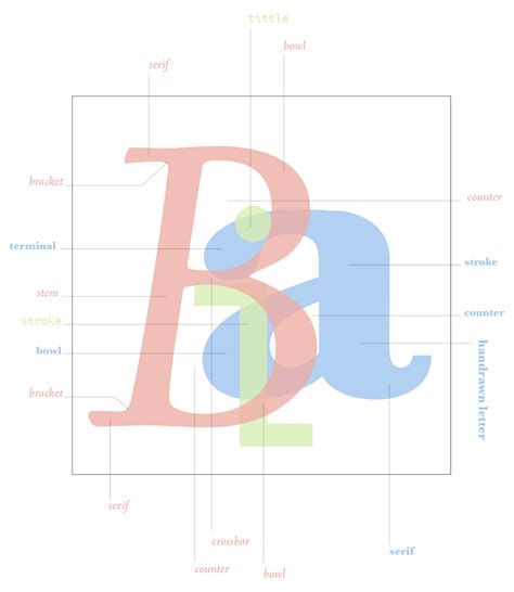 Typeface Anatomy On Behance