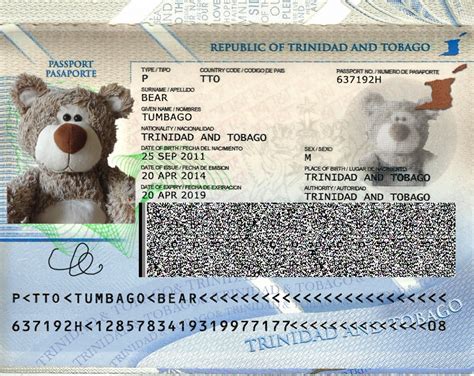 Teddy Land