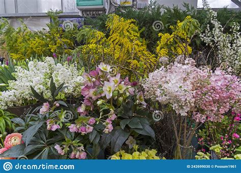A Variety Of Flowers At The Exhibition In The Greenhouse Of The