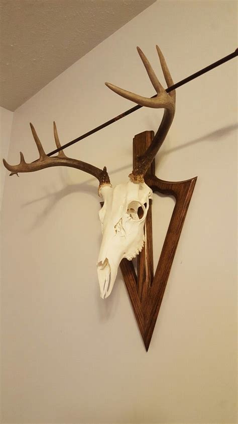 Hunting Taxidermy Supplies Whitetail Buck Deer Antler Shed European