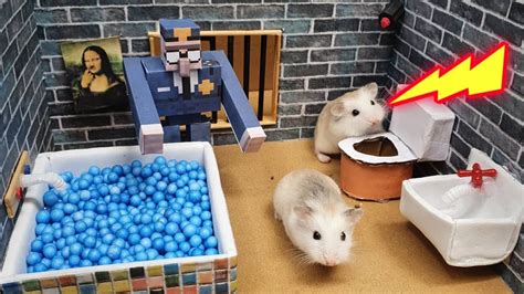 Amazing Hamster Escapes From The Minecraft Prison Maze Obstacle Course