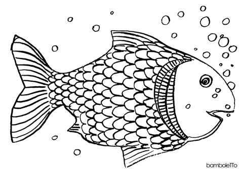 Bamboletto Ilustracje Ryba Nie Zając Ilustracje