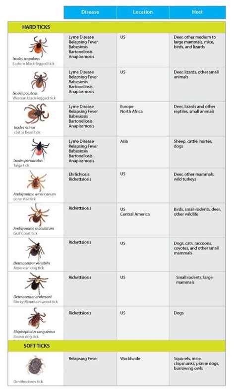 Tick Talk Ticks Disease Lyme