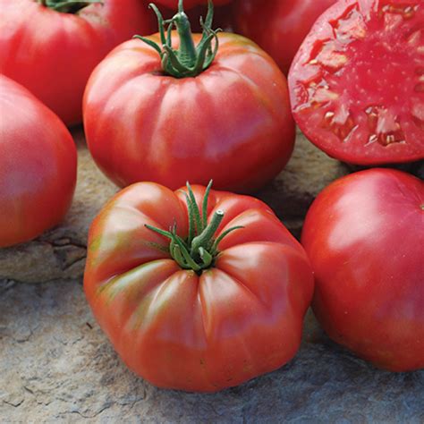 Mrs Maxwells Big Italian Tomato Heirloom Tomato Seeds Totally Tomatoes