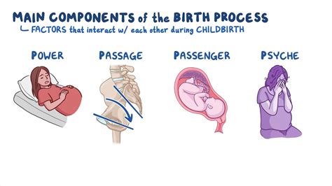 components of the birth process nursing osmosis video library