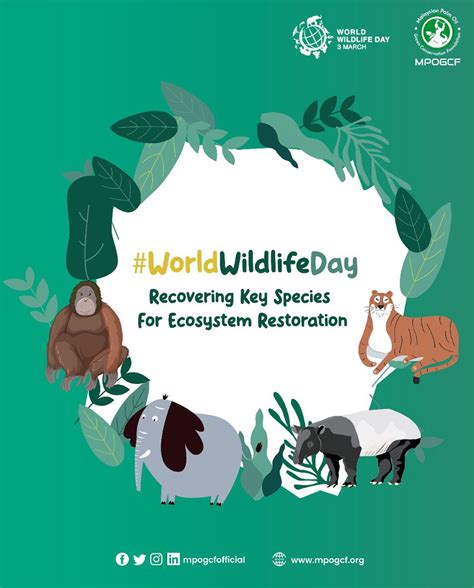 World Wildlife Day Mpogcf