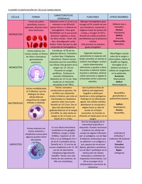 Cuadro Comparativo De Las Células Sanguíneas Cuadro ClasificaciÓn De