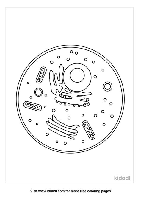 Free Anatomy Of A Cell Coloring Page Coloring Page Printables Kidadl