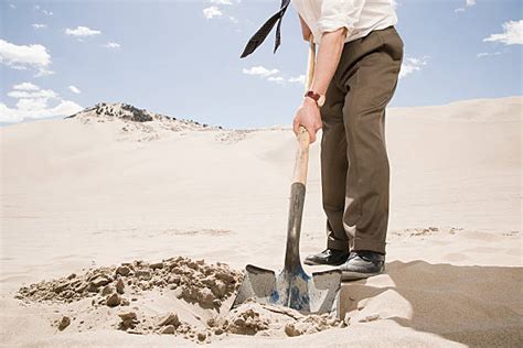 Buried Treasure Stock Photos Pictures And Royalty Free Images Istock