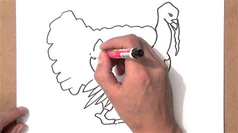Como Dibujar Un Pavo Como Dibujar Un Pavo Paso A Paso Youtube