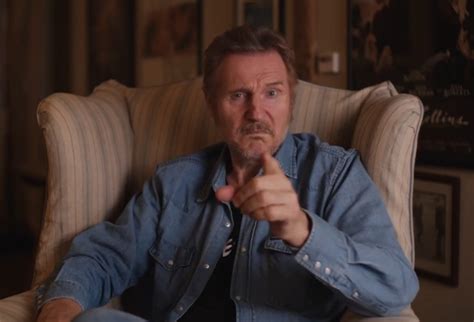 Liam Neeson Tells Movie Lovers To Support Upstate Films Westfair