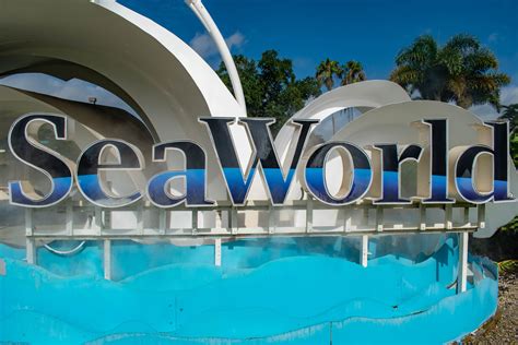 Whats Happening With Seaworld Abu Dhabi Attractions Time Out Dubai