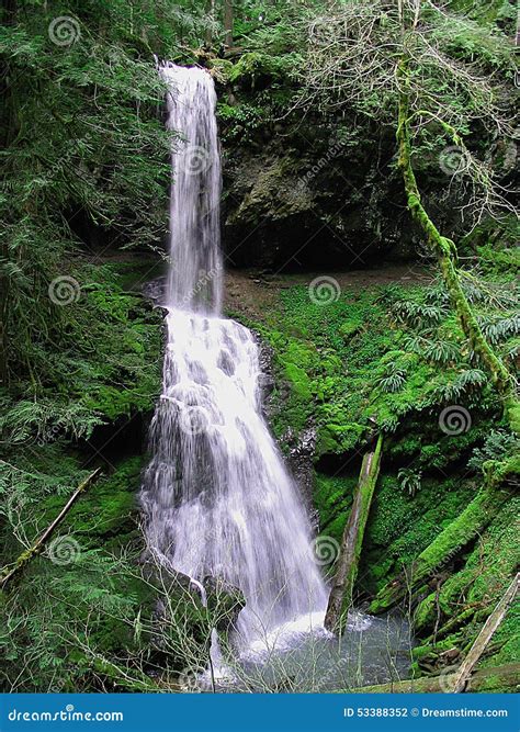 Secluded Waterfall Stock Photo Image Of Cascading Nature 53388352