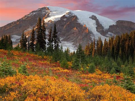 Mount Rainier National Park The Most Glaciated Peak In The Contiguous