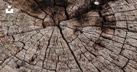 Free Wood Image On Unsplash