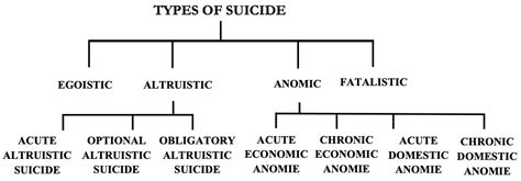 😍 Suicide Theory Sociology Theories On Causes Of Suicidal Behaviour