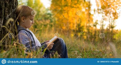 Yes, standing under a tree in a lightning storm is extremely dangerous. Boy Reading A Book On A Big Tree Stock Image - Image of ...