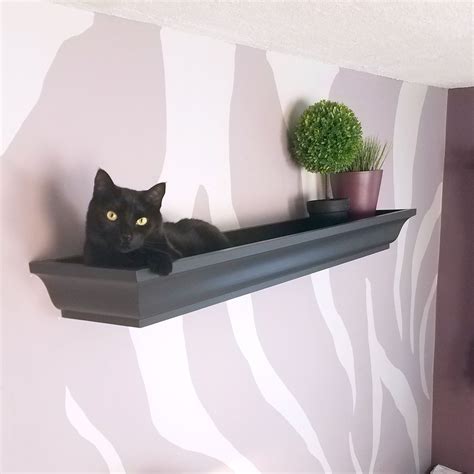 Catify Your Home Design A Happy And Stylish Home For You And Your Cat