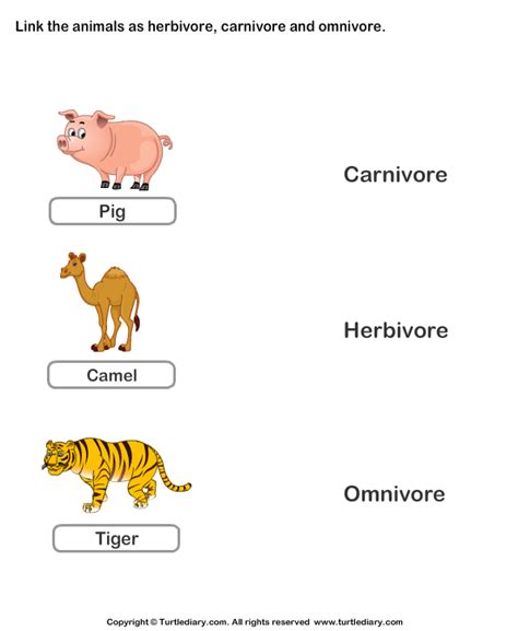 Incisors and canines are used to pick plant pieces into the mouth while molars with wide ridged surfaces are used. Herbivores Carnivores Omnivores Worksheet - Turtle Diary