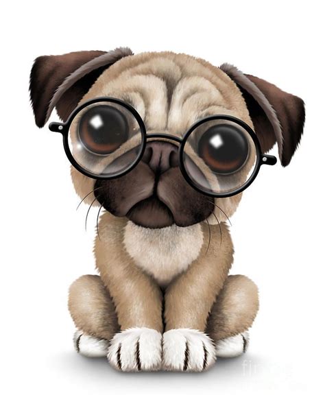 Bildresultat För Animals With Glasses Clipart