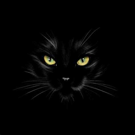 Men Women Head Black Cat Kitten With Glowing Eyes Head Black Cat