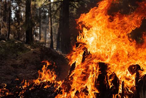 Wildfires Ignite Mental Health Concerns