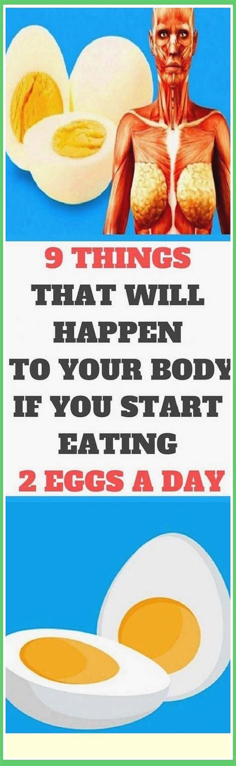 Eat Eggs A Day And These Things Will Happen To Your Body Shape Your Body Health Benefits