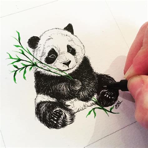Panda Drawing At Getdrawings Free Download