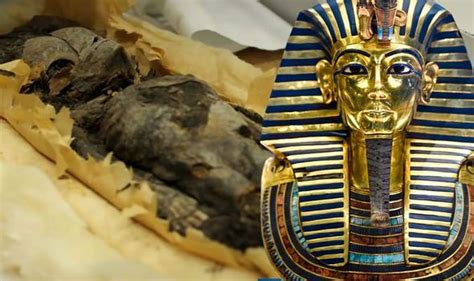 Ancient Egypt Extraordinary Find As Dna Of Mummified Baby Girls