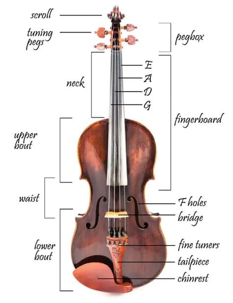 Parts Of A Violin And How To Fix Them Violin Violin Kids Violin