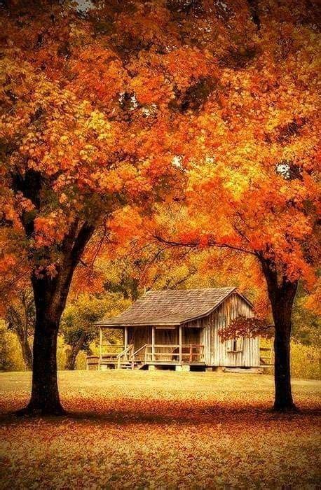 Pin By Becky Cagwin On Log Home And Cabin Living With Images Autumn