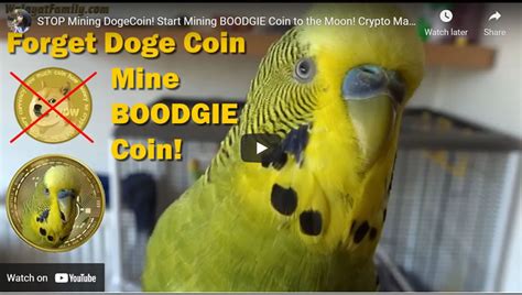 These applications provide a detailed report based on your earnings. DogeCoin CRASH! Time to Start Mining BOODGIE Coin! Crypto ...