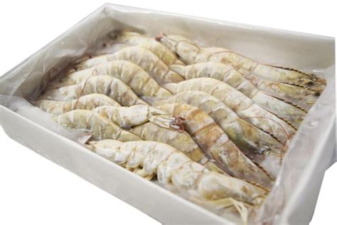 Tiger Prawns Fresh Raw Kg Box The Stickleback Fish Company Ltd