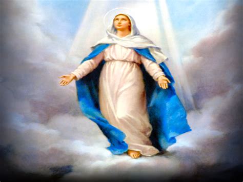 Holy Mass Images The Assumption Of The Blessed Virgin Mary Into Heaven
